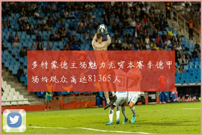 多特蒙德主场魅力无穷本赛季德甲场均观众高达81365人